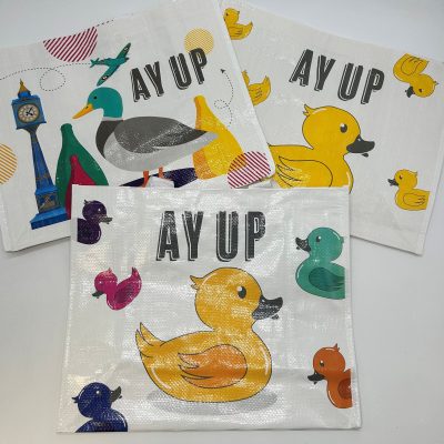 Reusable Bag